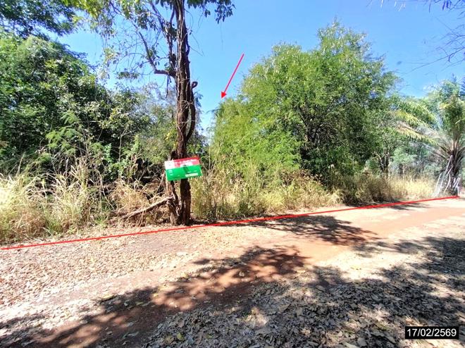 รูป บ้านเดี่ยว 330 ตร.วา สว่างแดนดิน สกลนคร 992,000 - รูปที่ 12/34