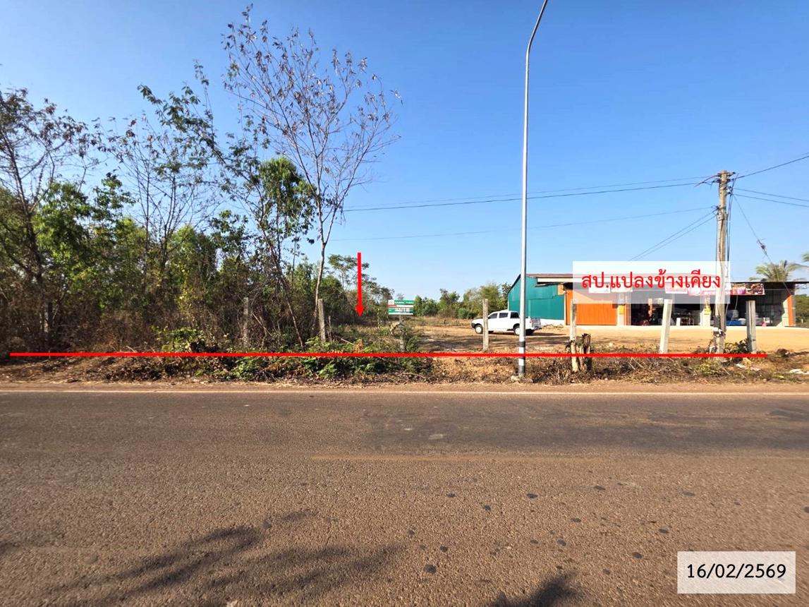 รูป ที่ดินว่างเปล่า สำหรับขาย - วาใหญ่ อากาศอำนวย สกลนคร - รูปที่ 11/24