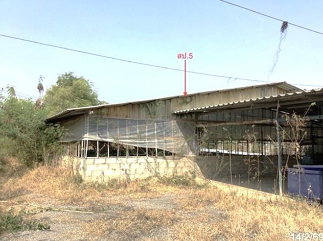 รูป บ้านเดี่ยว 1130 ตร.วา เขาย้อย เพชรบุรี 4.6M - รูปที่ 15/48
