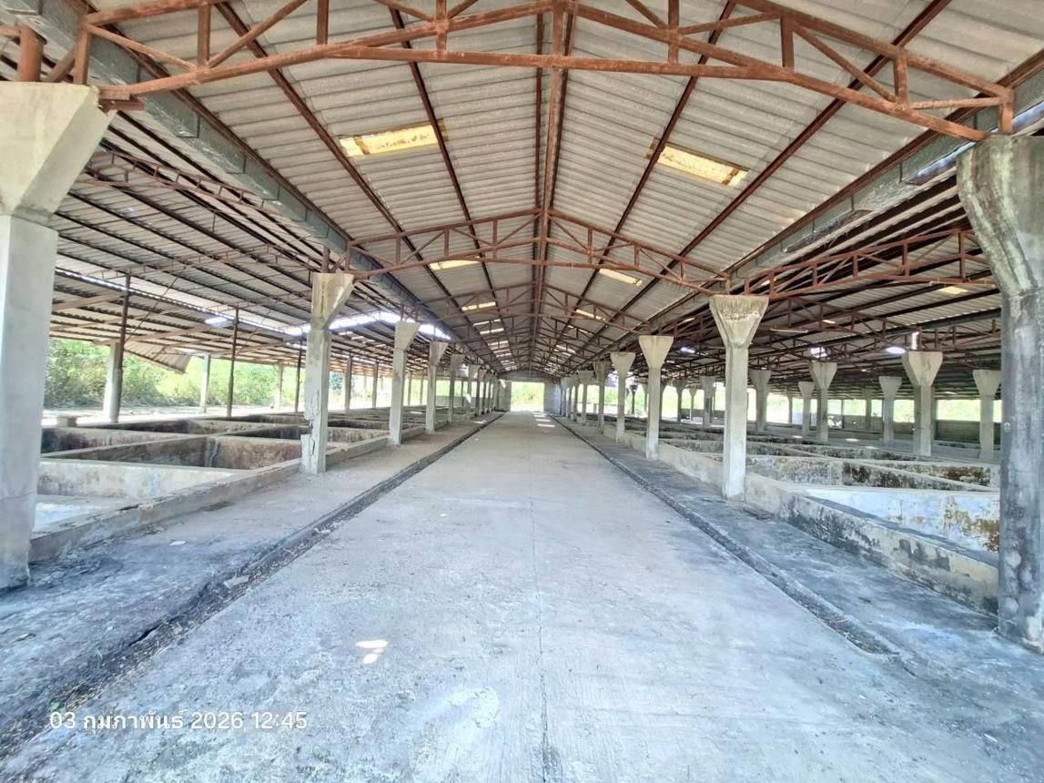 picture FACTORY 3707 Sq.w. Mae Sa-ruai Chiang Rai for 15.9M - 17/30