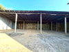 listing thumbnail image 31