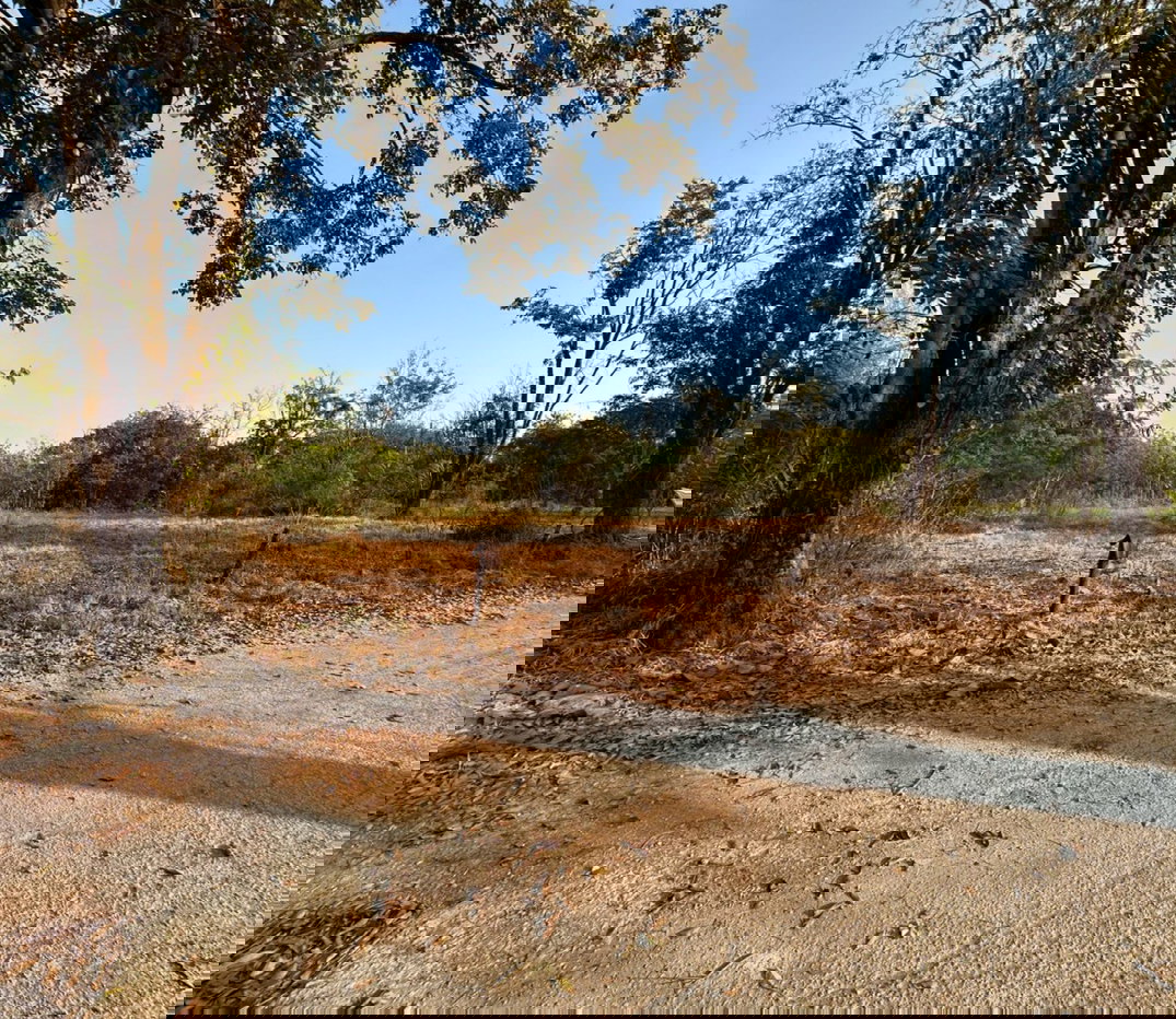 รูป ขายที่ดิน ห้วยทราย สันกำแพง ห่างจากเมือง20กม. - รูปที่ 1/7