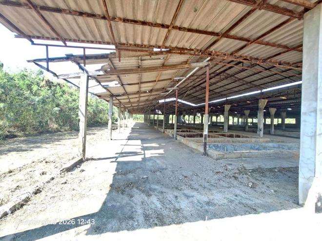 picture FACTORY 3707 Sq.w. Mae Sa-ruai Chiang Rai for 15.9M - 5/30