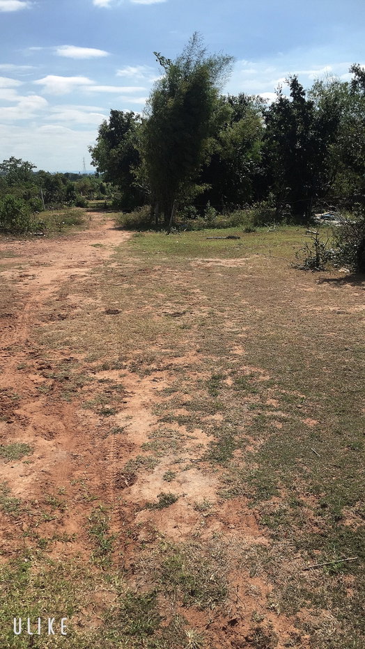 รูป ขายด่วน! ที่ดินเปล่า 1 งาน บ.กุดน้อย อ.สีคิ้ว จ.นครราชสีมา - รูปที่ 7/7