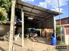 listing thumbnail image 46