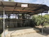 listing thumbnail image 21