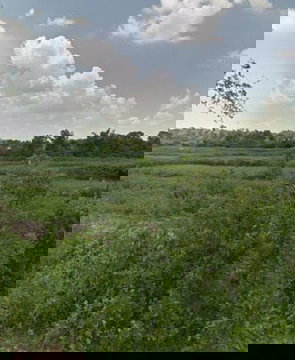 ขายที่ดินเปล่า ใกล้พุทธสถานราชธานีอโศก จ.อุบลราชธานี