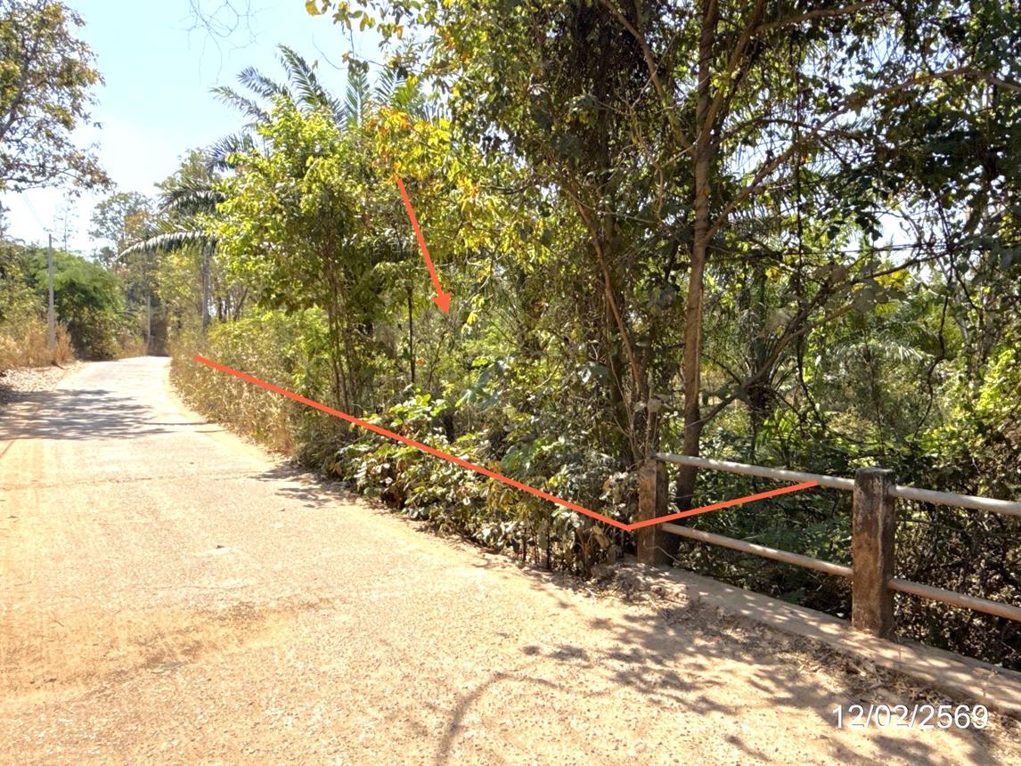 picture LAND 5920 Sq.w. Trakan Phutphon Ubon Ratchathani for 1.5M - 11/18