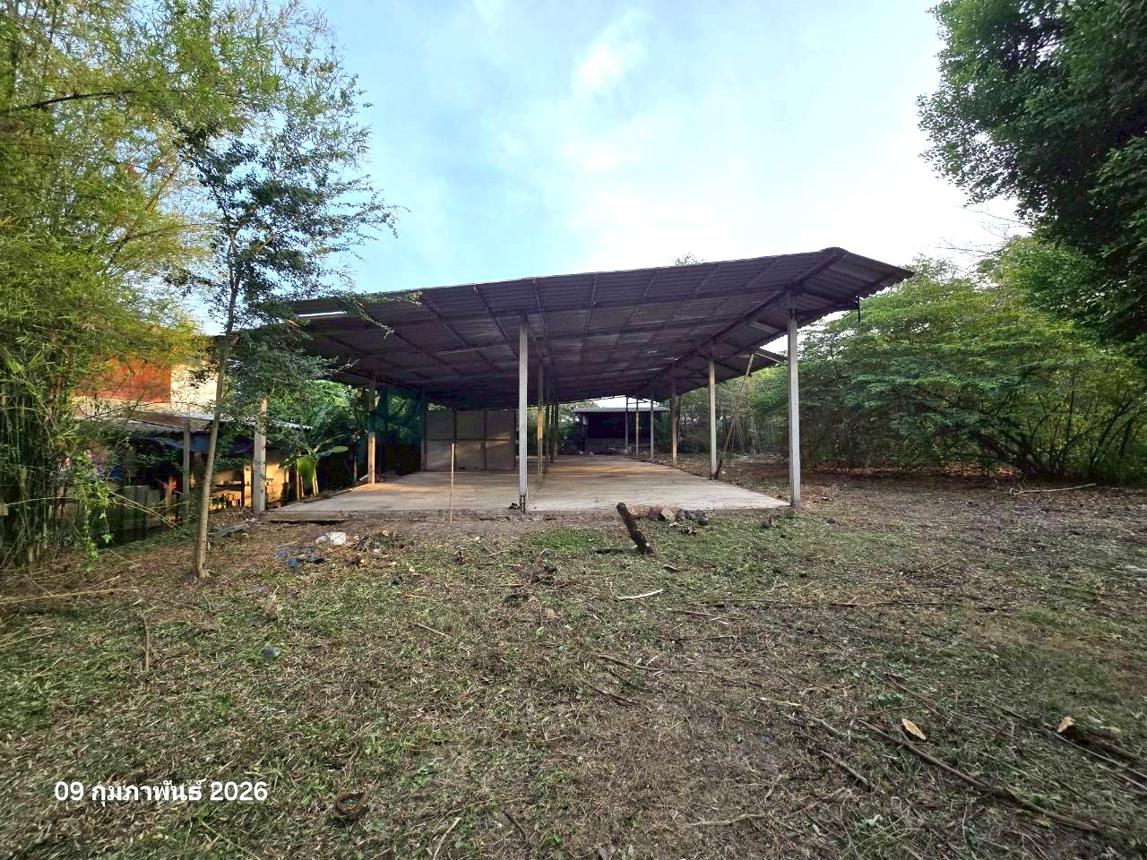 รูป บ้านเดี่ยว สำหรับขาย - ดอนกรวย ดำเนินสะดวก ราชบุรี - รูปที่ 29/54