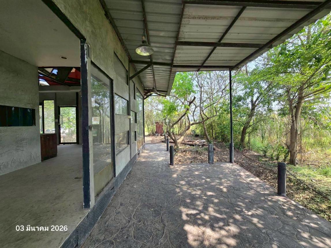 รูป บ้านเดี่ยว 100 ตร.วา เมืองพิษณุโลก พิษณุโลก 830,000 - รูปที่ 13/26