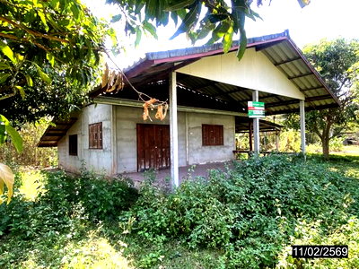 บ้านเดี่ยว 95 ตร.วา ภูกระดึง เลย 884,000