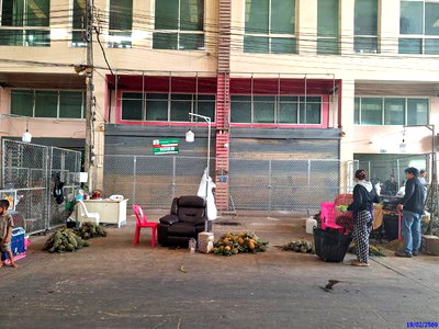 อาคารพาณิชย์ เซ็นทรัล เฟสติวัล หาดใหญ่ : อาคารพาณิชย์ สำหรับขาย - หาดใหญ่ หาดใหญ่ สงขลา