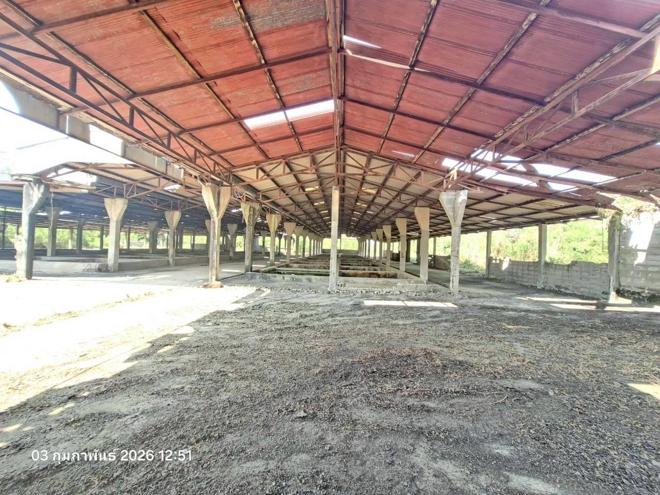picture FACTORY 3707 Sq.w. Mae Sa-ruai Chiang Rai for 15.9M - 12/30