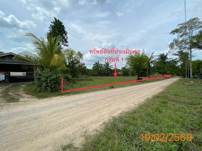 รูป ที่ดินว่างเปล่า 1047 ตร.วา เหนือคลอง กระบี่ 4.6M - รูปที่ 2/24