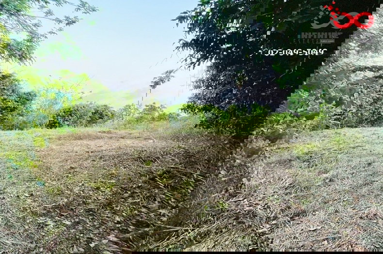 รูป ขายที่ดินเปล่า 2ไร่ 390 ตรว. ถมแล้ว 20 %  อำเภอพนัสนิคม ชลบุรี - รูปที่ 6/7