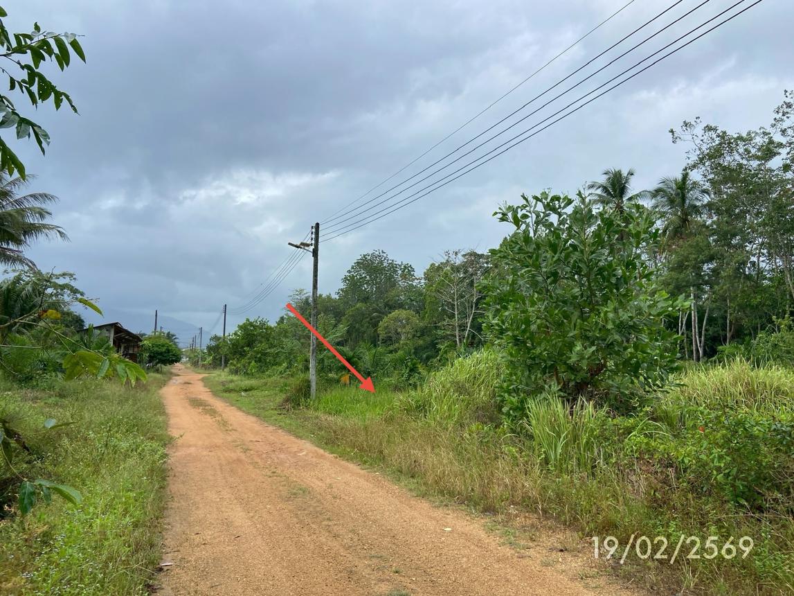 picture LAND 76.7 Sq.w. Rattaphum Songkhla for 537,000 - 20/24
