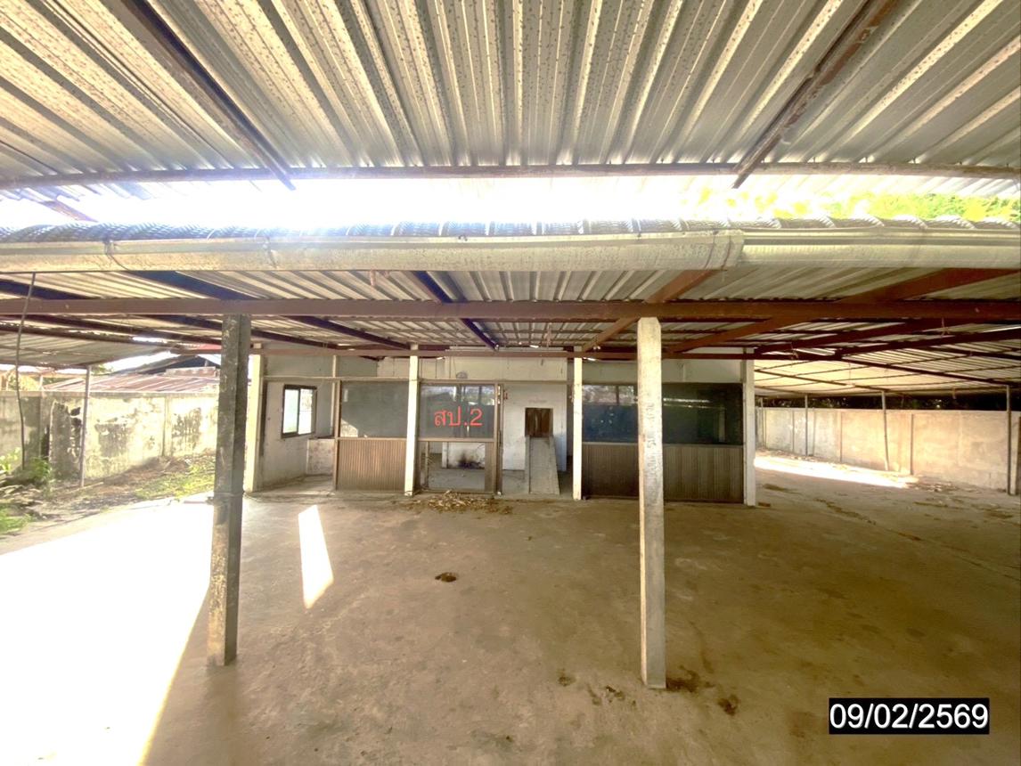 รูป บ้านเดี่ยว 778 ตร.วา พล ขอนแก่น 4.4M - รูปที่ 42/60