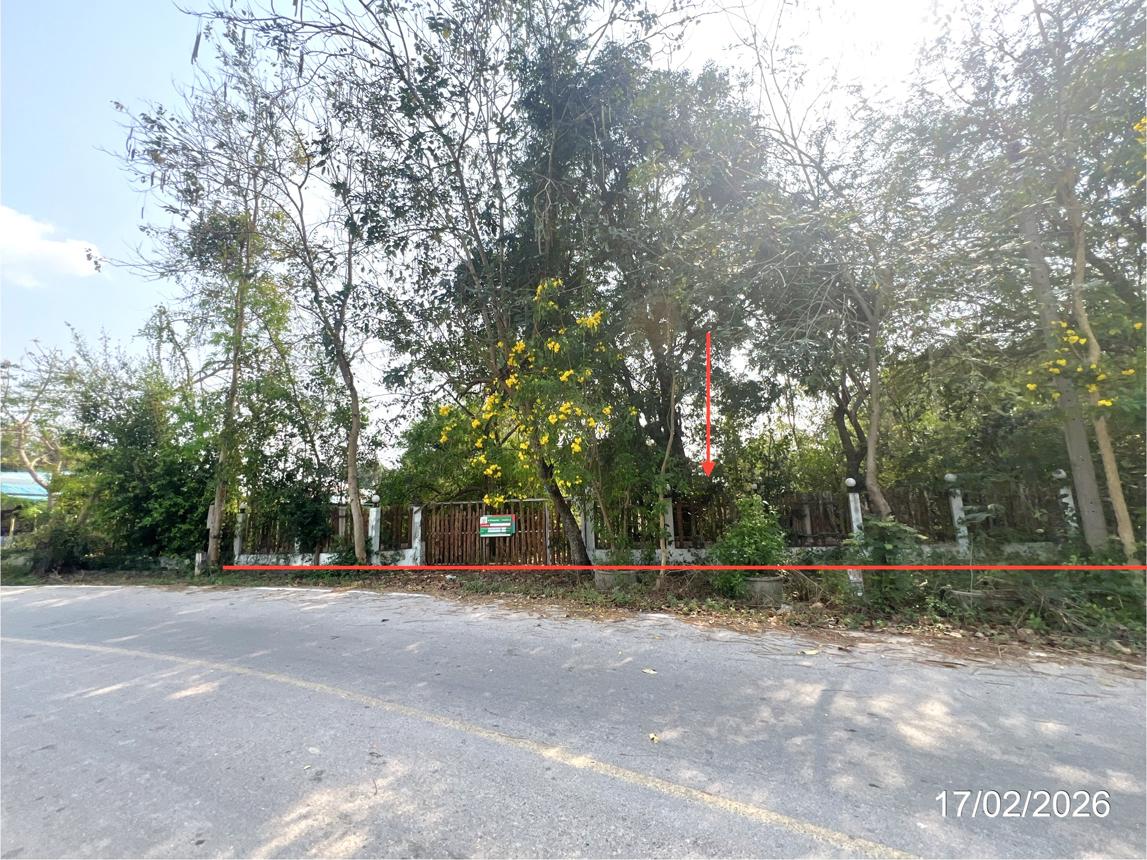 รูป บ้านเดี่ยว สำหรับขาย - หนองบัว วัดสิงห์ ชัยนาท - รูปที่ 46/50