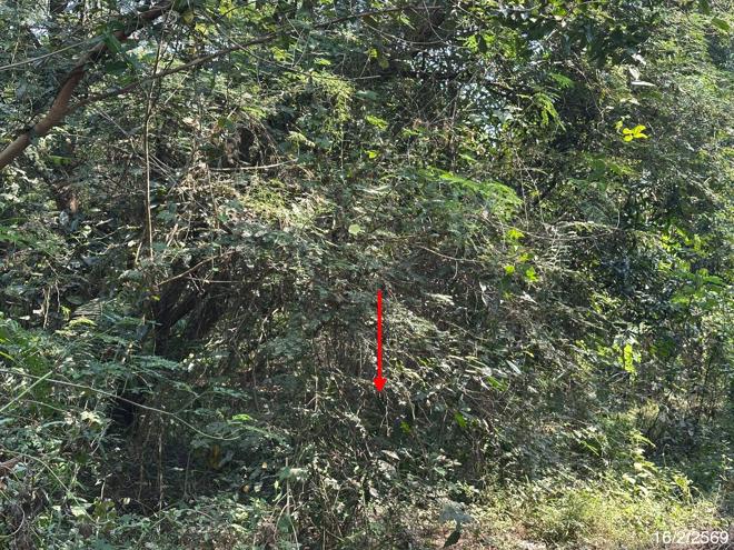 picture HOME 2403 Sq.w. Pho Thale Phichit for 2.5M - 20/44