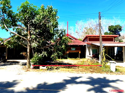 บ้านเดี่ยว ละงู สตูล : บ้านเดี่ยว 62 ตร.วา ละงู สตูล 1.5M