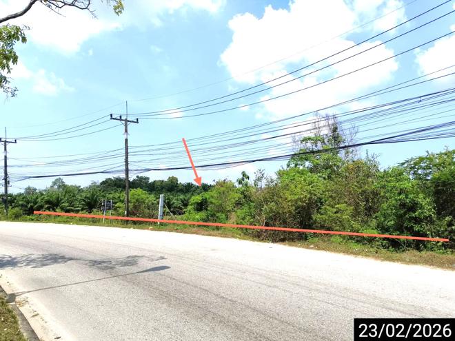 picture LAND for sale Pa We Chaiya Surat Thani - 2/18