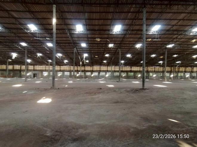 picture FACTORY for sale  Sangkha Sangkha Surin - 11/28
