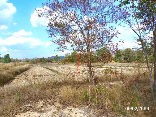 picture LAND 4220 Sq.w. Phu Kam Yao Phayao for 1.9M - 6/18