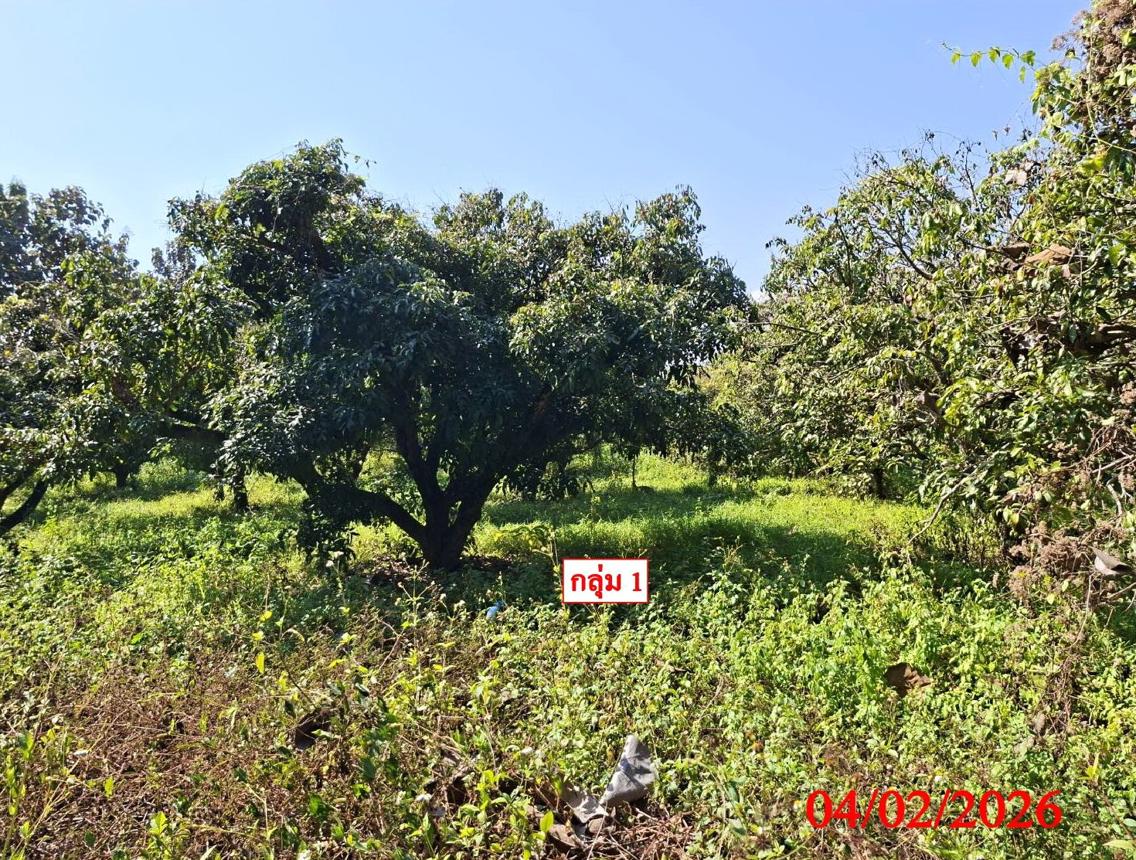 รูป ที่ดินว่างเปล่า สำหรับขาย - ยุหว่า สันป่าตอง เชียงใหม่ - รูปที่ 14/24