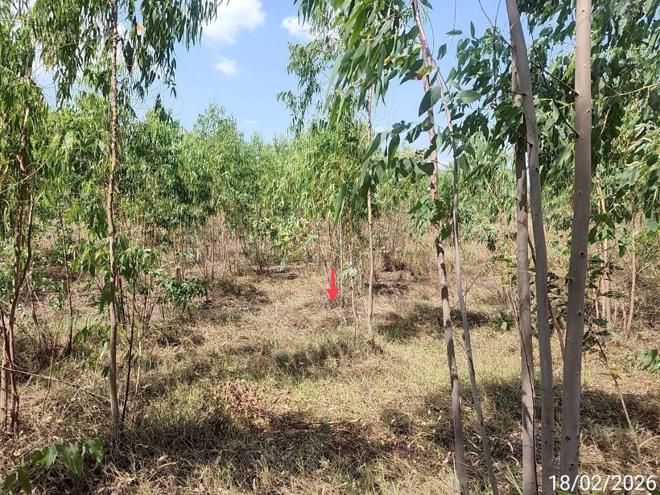 รูป ที่ดินว่างเปล่า 1781 ตร.วา สุวรรณภูมิ ร้อยเอ็ด 357,000 - รูปที่ 6/20