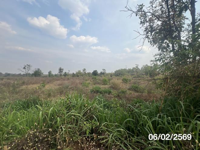 picture LAND 11763 Sq.w. Nam Yun Ubon Ratchathani for 5.9M - 7/22