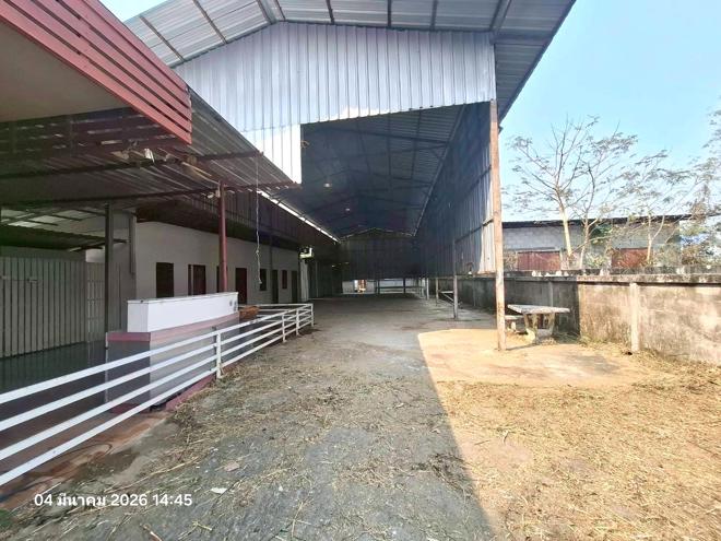 picture FACTORY for sale  Pa Lan Doi Saket Chiang Mai - 2/38