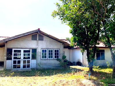 บ้านเดี่ยว 252 ตร.วา ประโคนชัย บุรีรัมย์ 1M