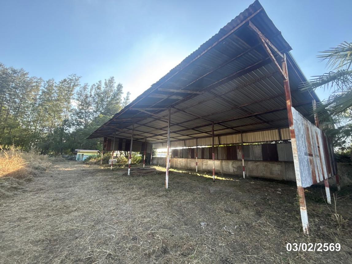 รูป อาคารโรงงาน สำหรับขาย - โพนข่า เมืองศรีสะเกษ ศรีสะเกษ - รูปที่ 44/52