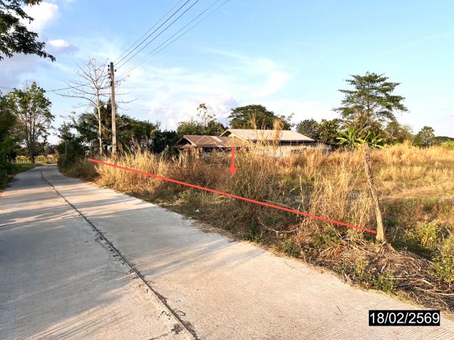 รูป ที่ดินว่างเปล่า สำหรับขาย - หนองกุงศรี หนองกุงศรี กาฬสินธุ์ - รูปที่ 2/18