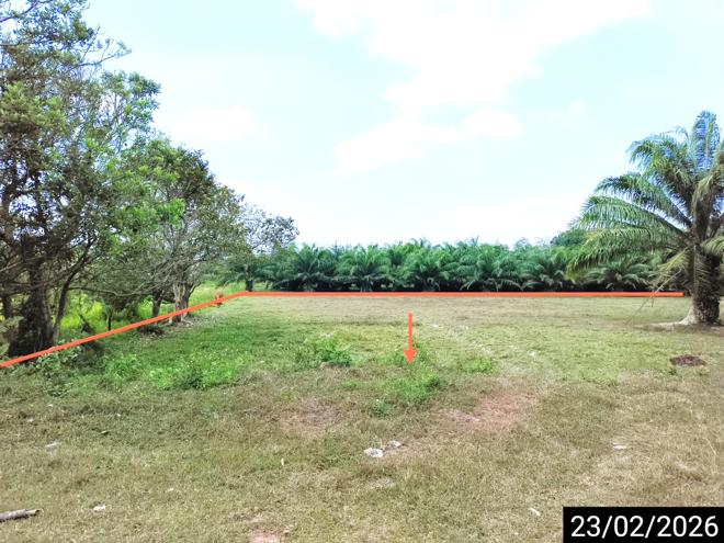 picture LAND for sale Pa We Chaiya Surat Thani - 5/18