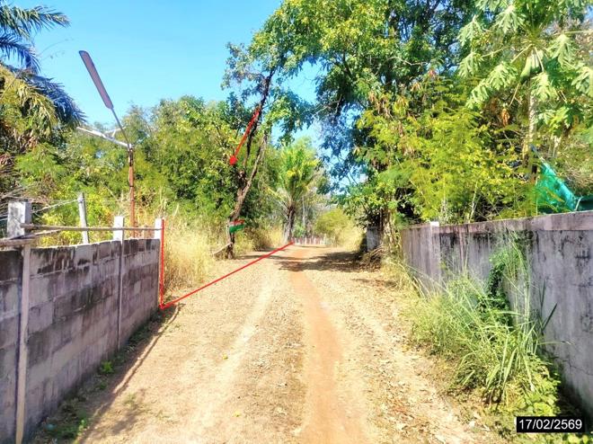 รูป บ้านเดี่ยว 330 ตร.วา สว่างแดนดิน สกลนคร 992,000 - รูปที่ 15/34