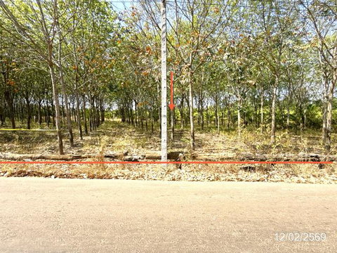 LAND 5920 Sq.w. Trakan Phutphon Ubon Ratchathani for 1.5M