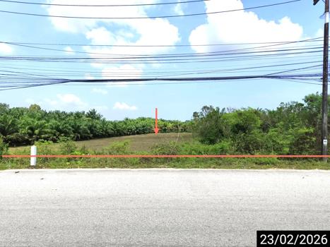 picture LAND for sale Pa We Chaiya Surat Thani - 15/18