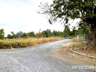 Land for sale : LAND for sale  Wiang Chai Wiang Chai Chiang Rai