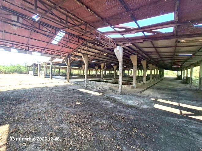 picture FACTORY 3707 Sq.w. Mae Sa-ruai Chiang Rai for 15.9M - 8/30