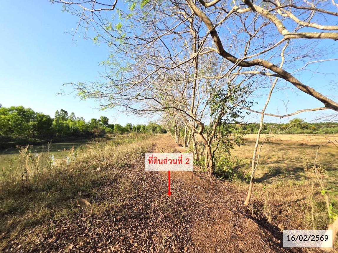 รูป ที่ดินว่างเปล่า สำหรับขาย - วาใหญ่ อากาศอำนวย สกลนคร - รูปที่ 18/24