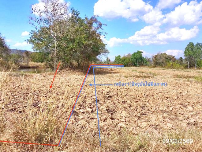 picture LAND 4220 Sq.w. Phu Kam Yao Phayao for 1.9M - 4/18