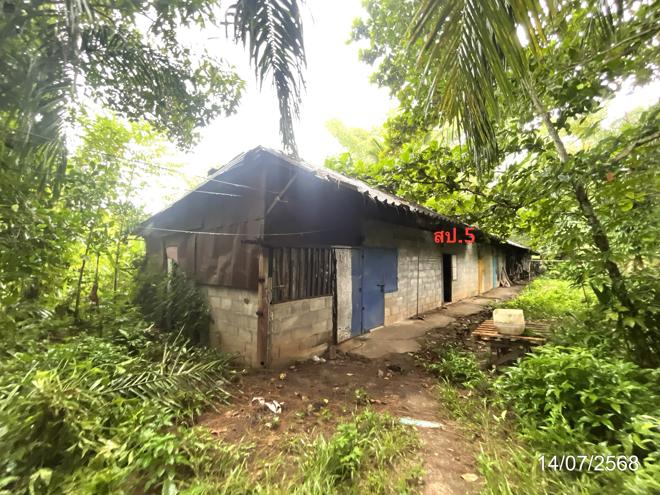 รูป อาคารโรงงาน สำหรับขาย - วัดประดู่ เมืองสุราษฎร์ธานี สุราษฎร์ธานี - รูปที่ 8/28