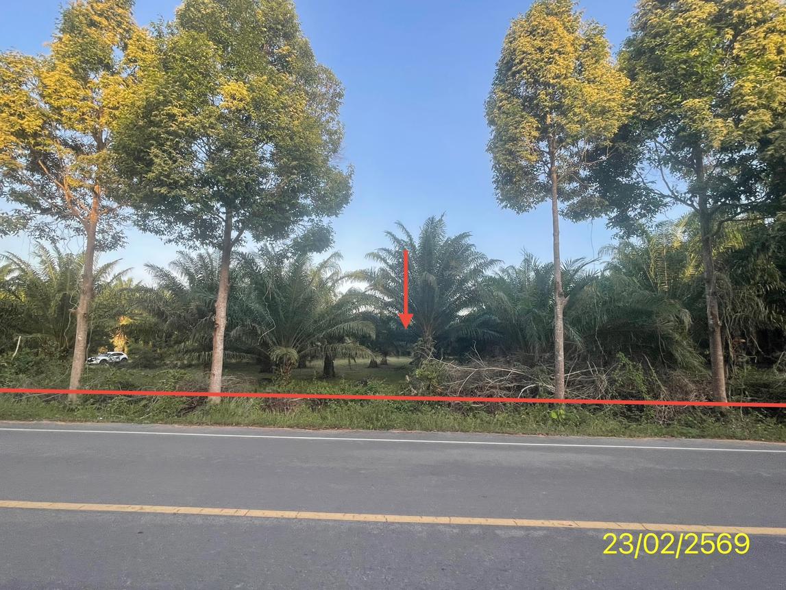 picture LAND 1887 Sq.w. Hat Samran Trang for 5.2M - 18/36