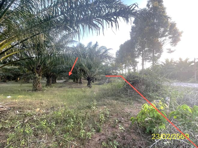 picture LAND 1887 Sq.w. Hat Samran Trang for 5.2M - 4/36