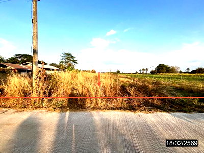 ที่ดินว่างเปล่า 1602 ตร.วา หนองกุงศรี กาฬสินธุ์ 1.4M