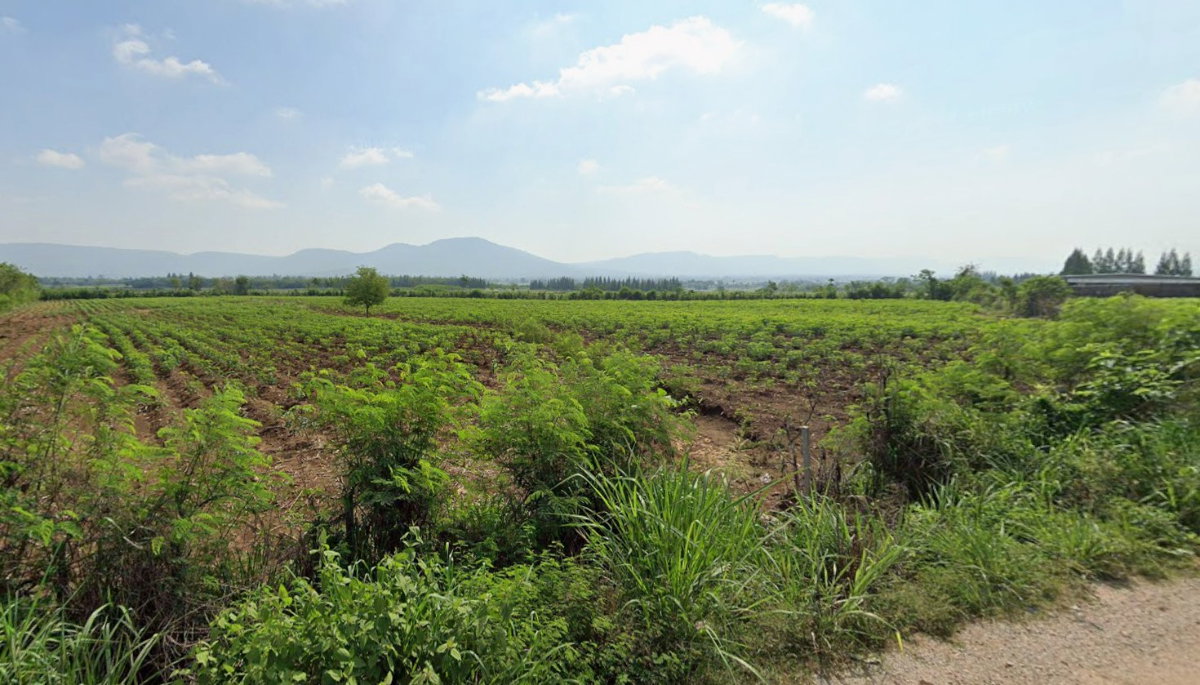 รูป ขายที่ดินเขาใหญ่ เนื้อที่ 15-3-77ไร่ ติดถนน 2 ด้าน ติดโครงการ Mövenpick Resort Khao Yai - รูปที่ 8/8