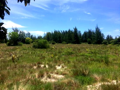 Land for sale Khura Buri Phangnga : Land for sale, Koh Phra Thong, Phang Nga Province, area 39-2-30 rai.