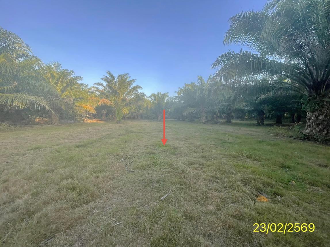 picture LAND 1887 Sq.w. Hat Samran Trang for 5.2M - 28/36