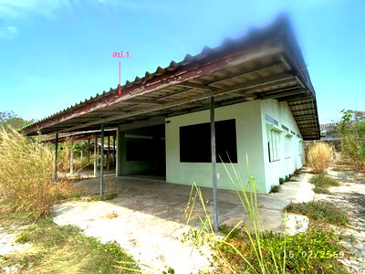 บ้านเดี่ยว ชลบุรี : บ้านเดี่ยว สำหรับขาย - ธาตุทอง บ่อทอง ชลบุรี